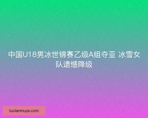中国U18男冰世锦赛乙级A组夺亚 冰雪女队遗憾降级