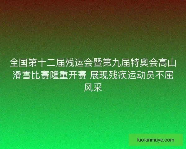 全国第十二届残运会暨第九届特奥会高山滑雪比赛隆重开赛 展现残疾运动员不屈风采